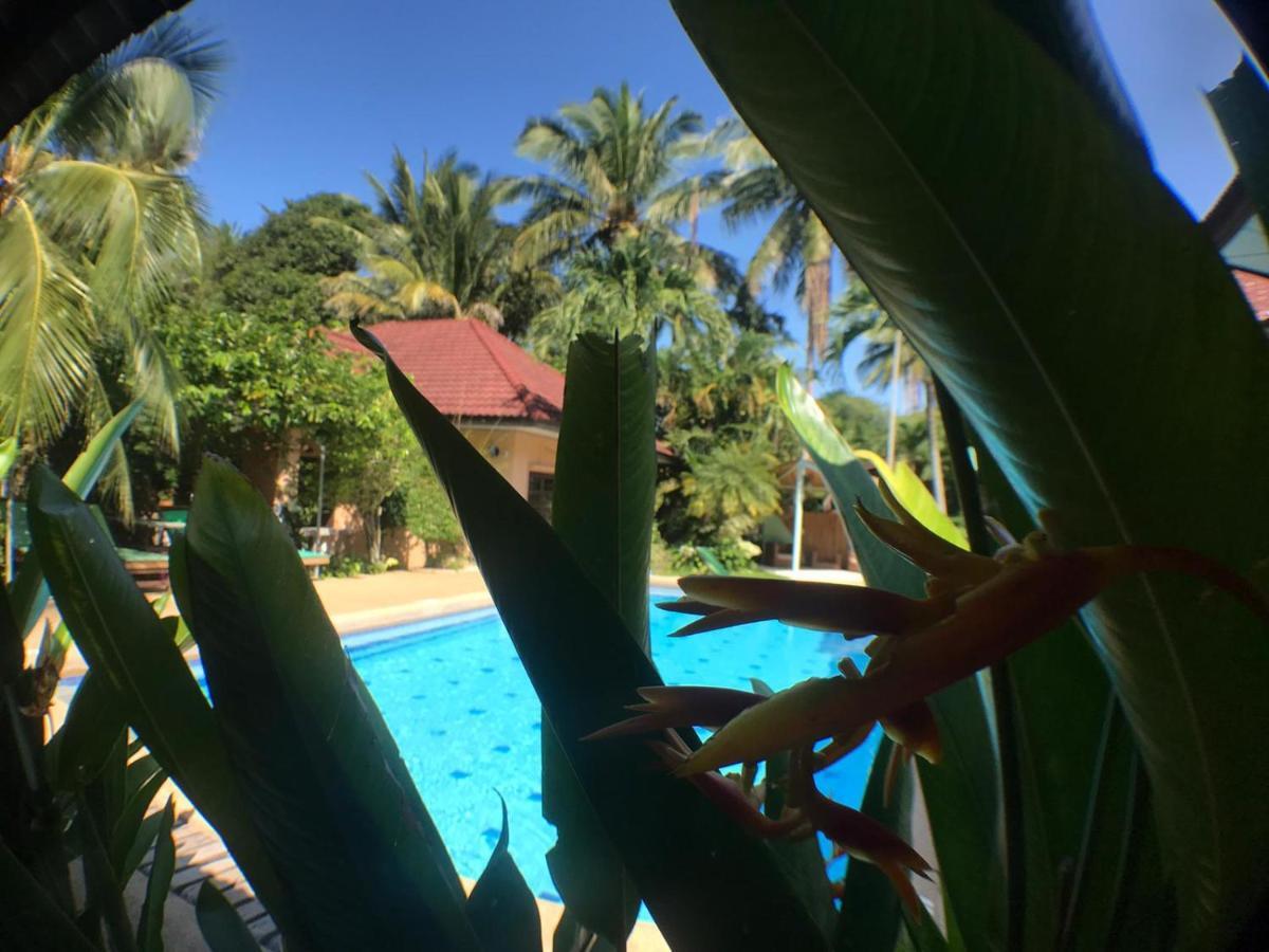 Samui Green Space Resort Mae Nam Extérieur photo